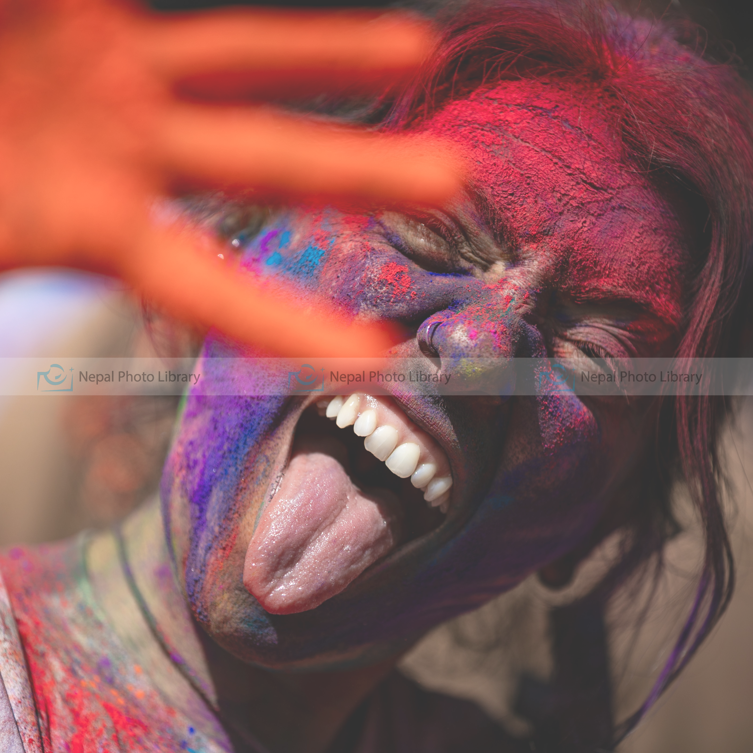 Holi festival 2025